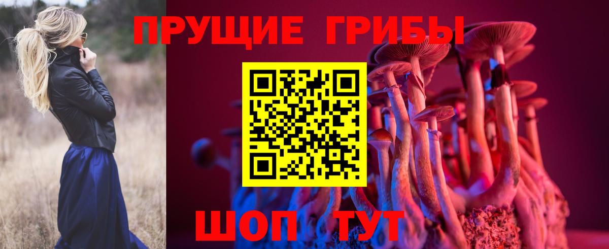 Волгодонск  Галлюциногенные грибы мицелий  Вход с VPN 